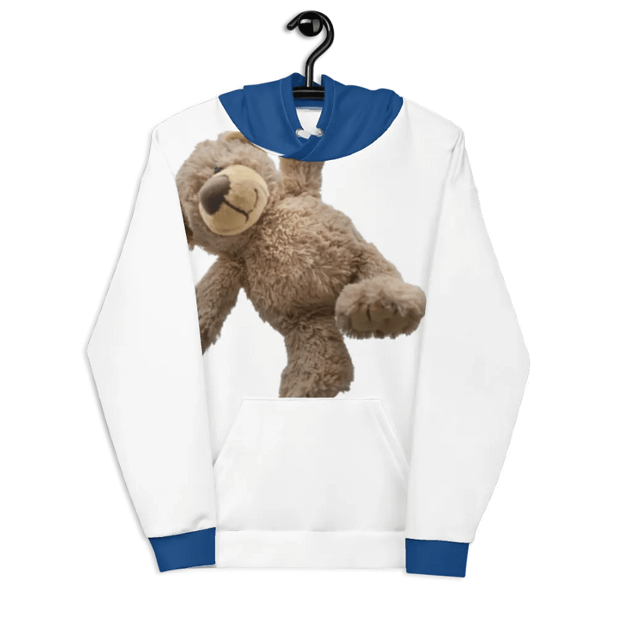 Bear hoodie product image (7)