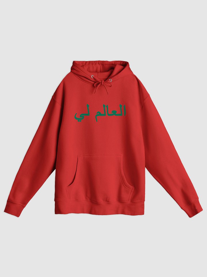 THE WORLD IS MINE x Morocco Hoodie product image (1)