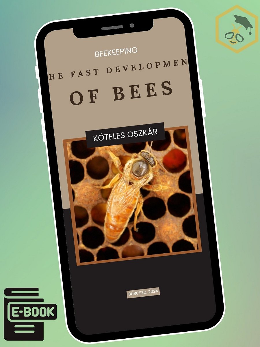 e-book - The Fast Development of Bees product image (1)