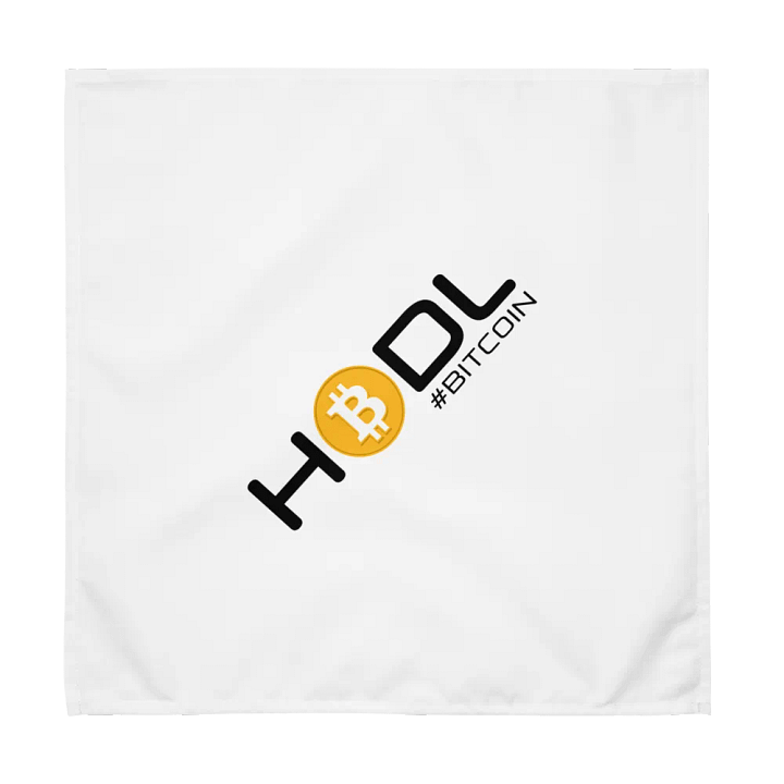 Rainbow Bitcoin Cloth Napkin Set (4) product image (2)