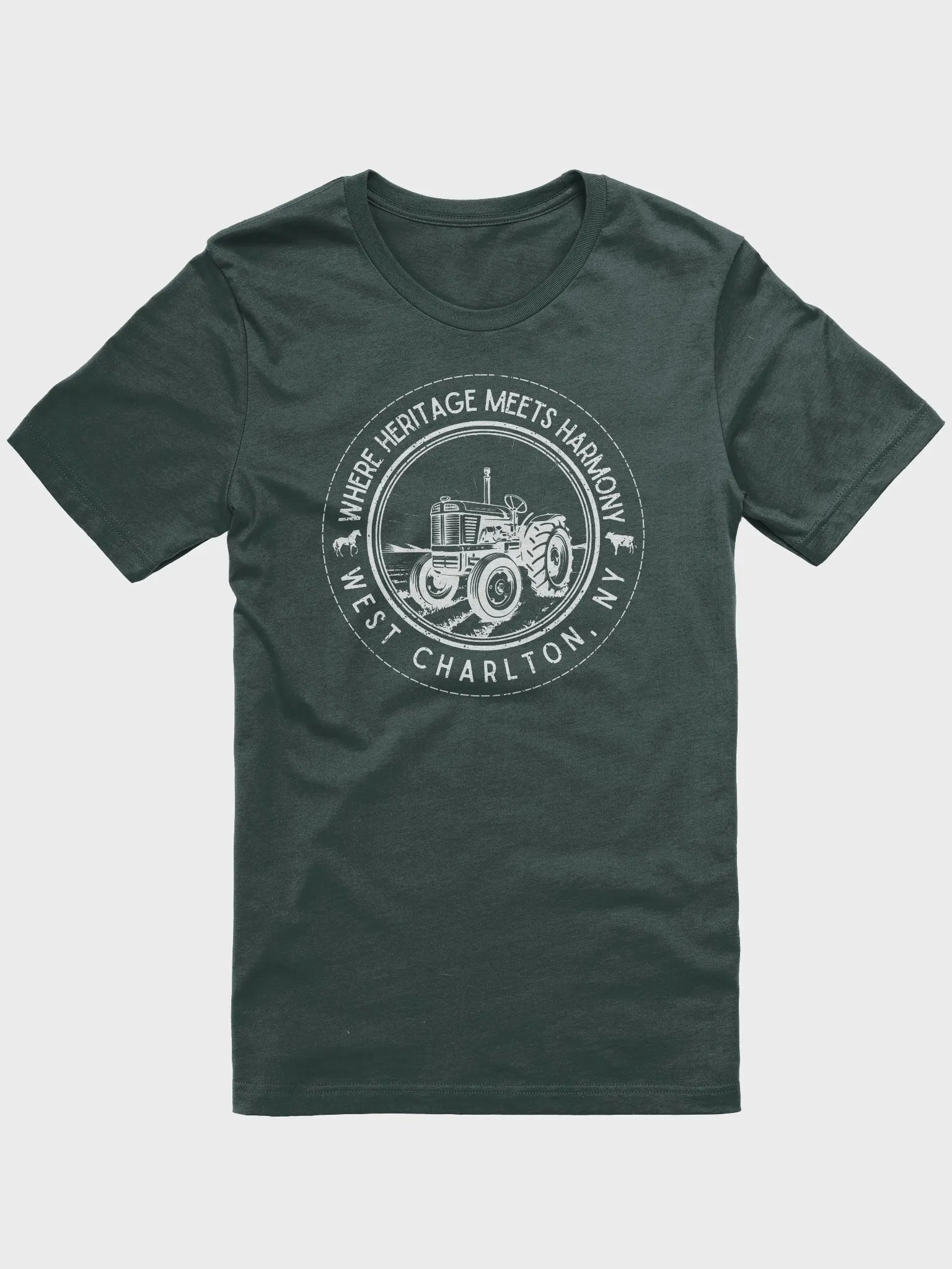 West Charlton, NY T-Shirt product image (1)
