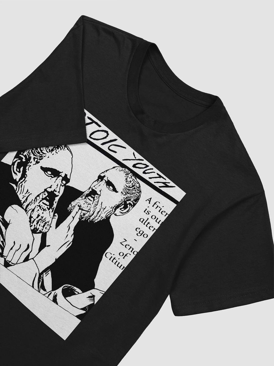 Stoic Youth Zeno of Citium quote Next Level Supersoft T-Shirt product image (4)