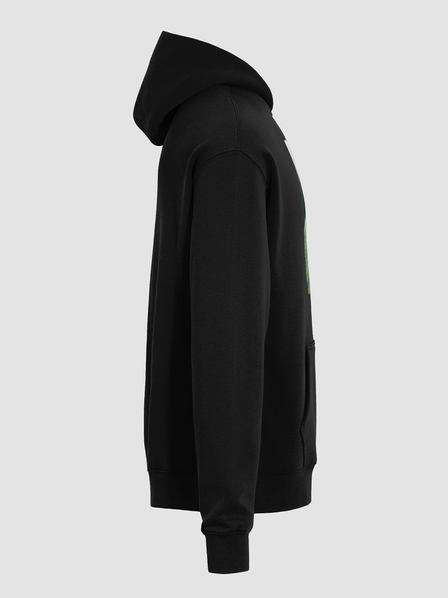 Majestic Avian Oversized Hoodie product image (7)