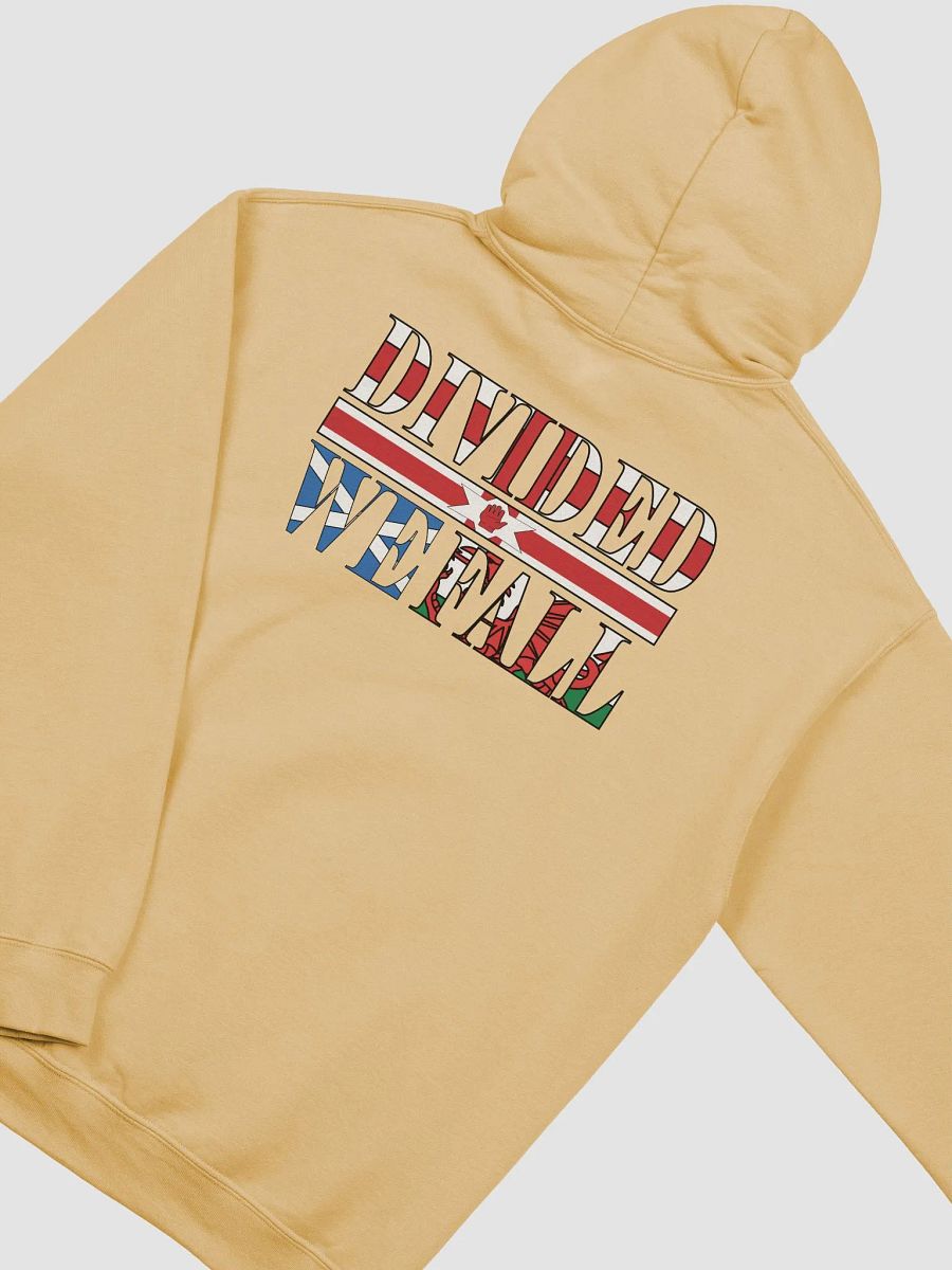 Divided We Fall - UK - Gildan Classic Hoodie (BACK) product image (3)