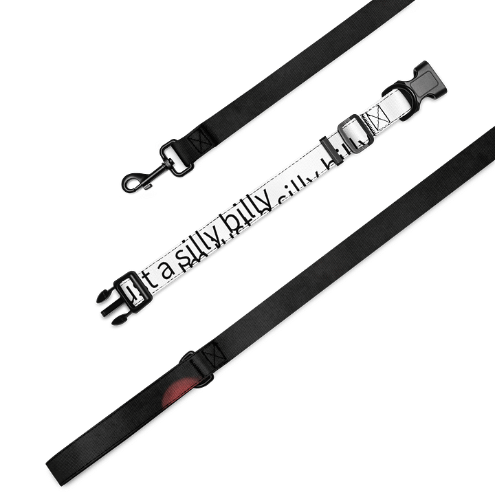 Im just a silly billy collor and space leash product image (2)