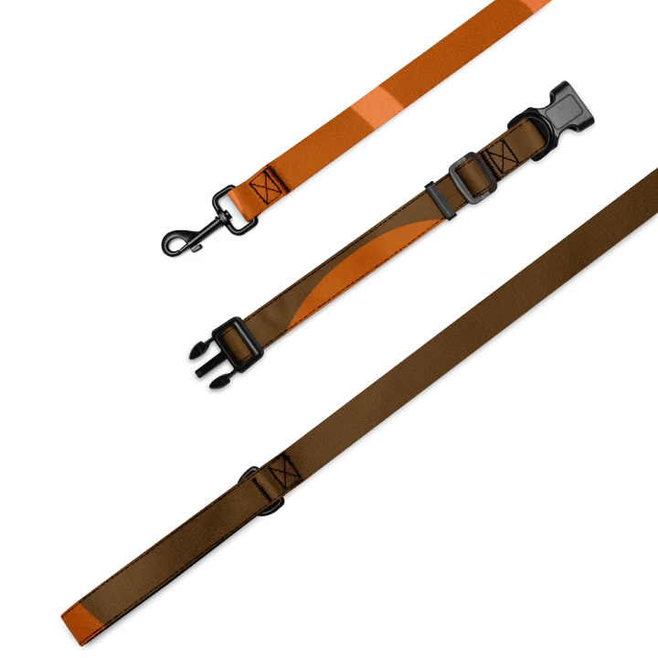 Orange Mystic Collar & Leash Set product image (1)