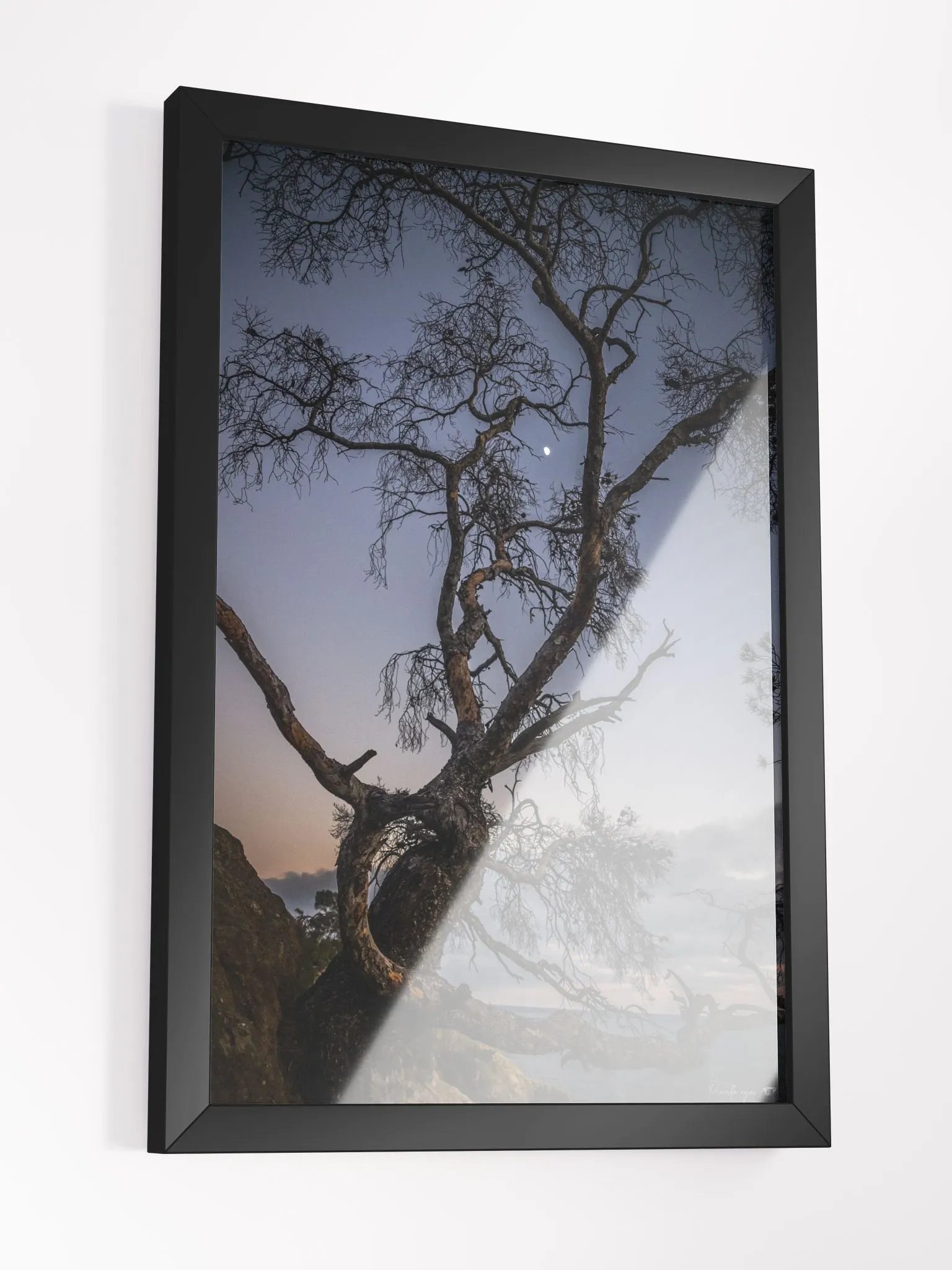 Print Fine Art - The Pine in Moonlight, Pointe du Layet, Lavandou, Var product image (5)