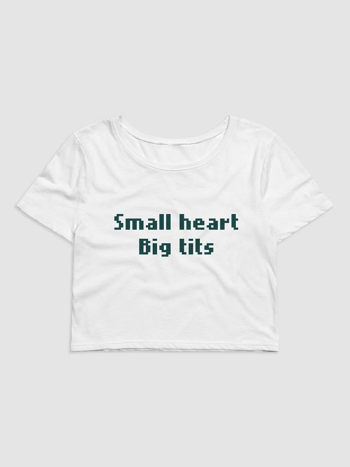 BIG TITS BABY TEE product image (1)