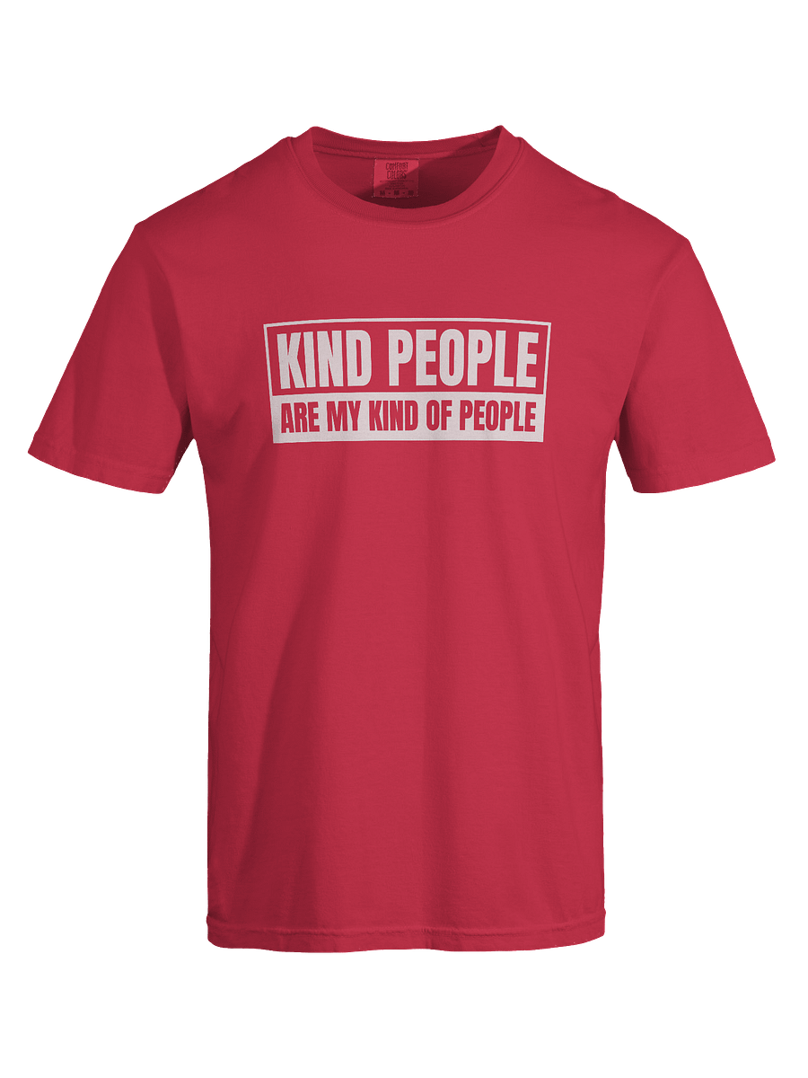 Fruit of the Spirit - Kindness T-Shirt (Heavyweight) product image (17)
