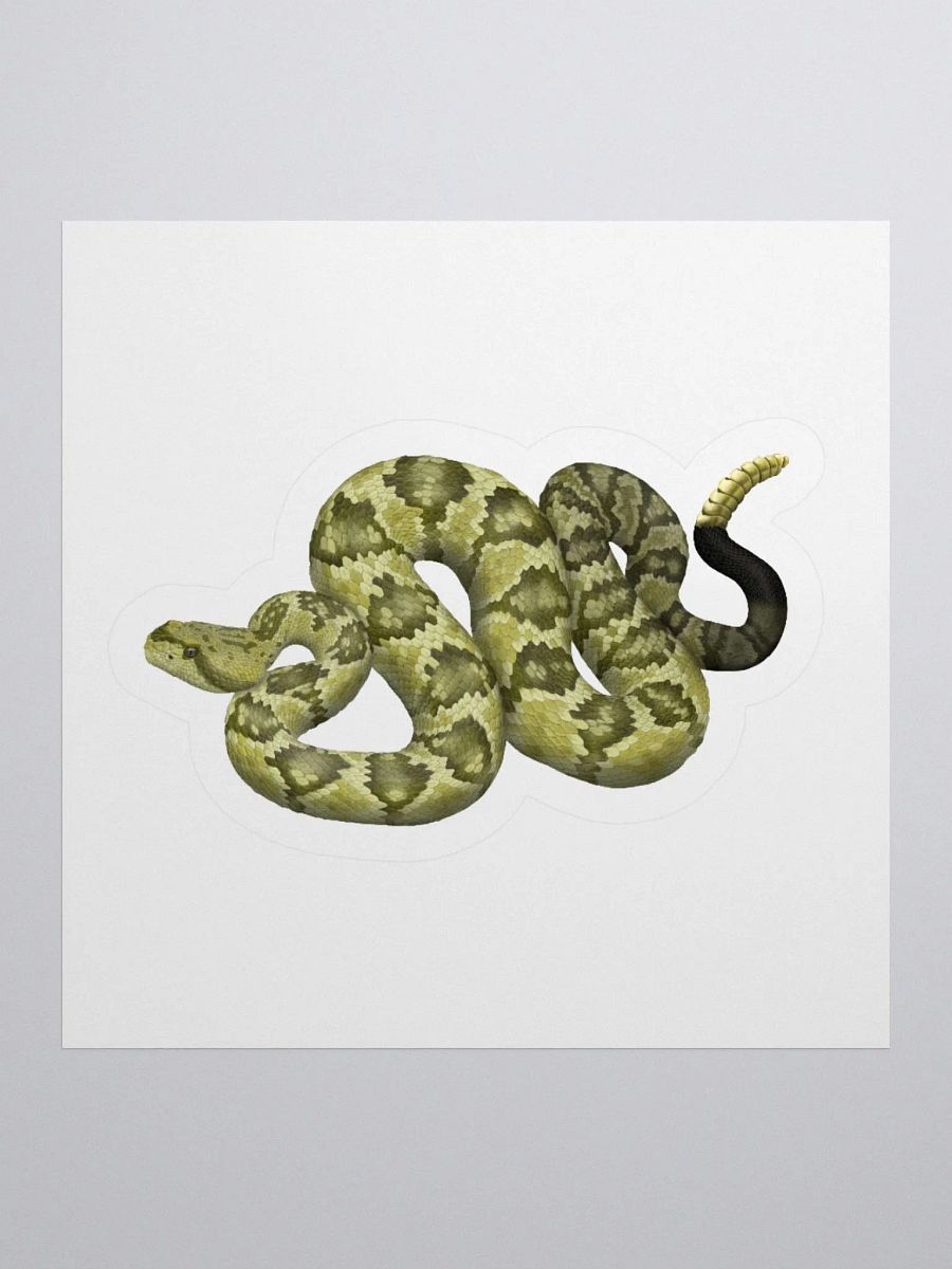 Die-Cut Sticker – Blacktailed Rattlesnake (Desert Phase) product image (1)
