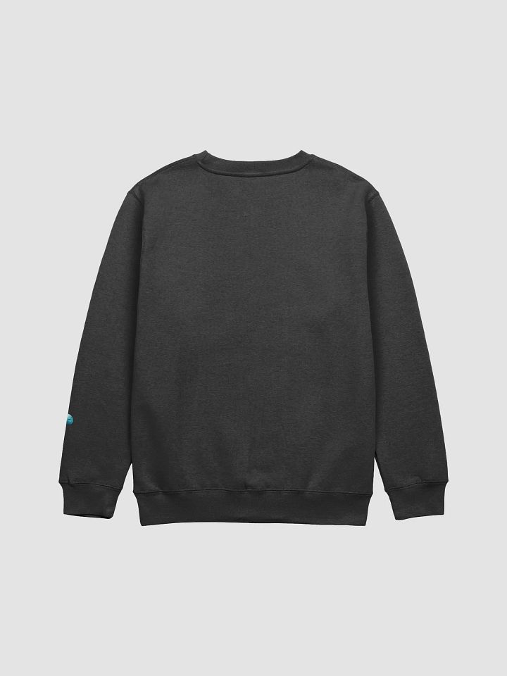 Calcium Cannons Sweater. product image (2)