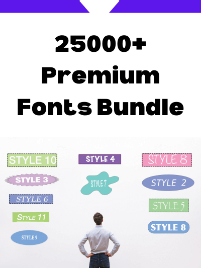 25000+ Premium Fonts Bundle product image (1)