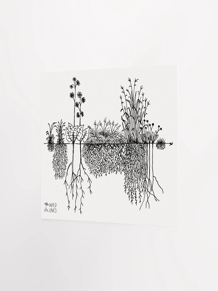 Deep Roots (Poster) product image (8)