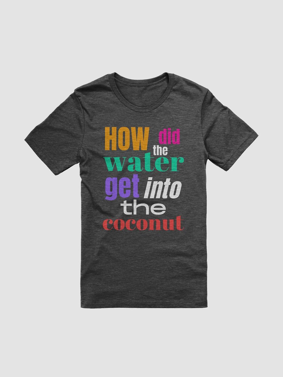 How Did the Water Get into the Coconut?" Bella + Canvas Supersoft A Funny Quote T-Shirt product image (3)