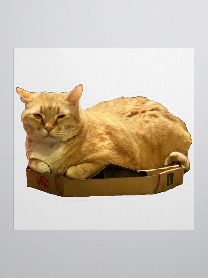 Colby in a box product image (1)