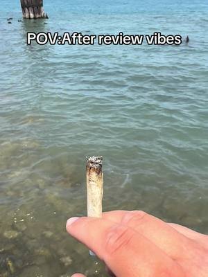 POV:After the review vibes #dankndevour 