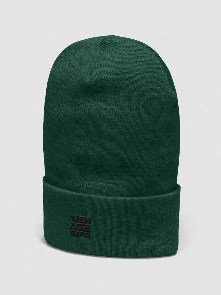 Teen Age Stepa Cuffed Beanie product image (2)
