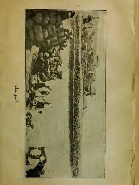 الدروز والثورة السورية وسيرة سلطان باشا الاطرش - كريم خليل ثابت product image (3)