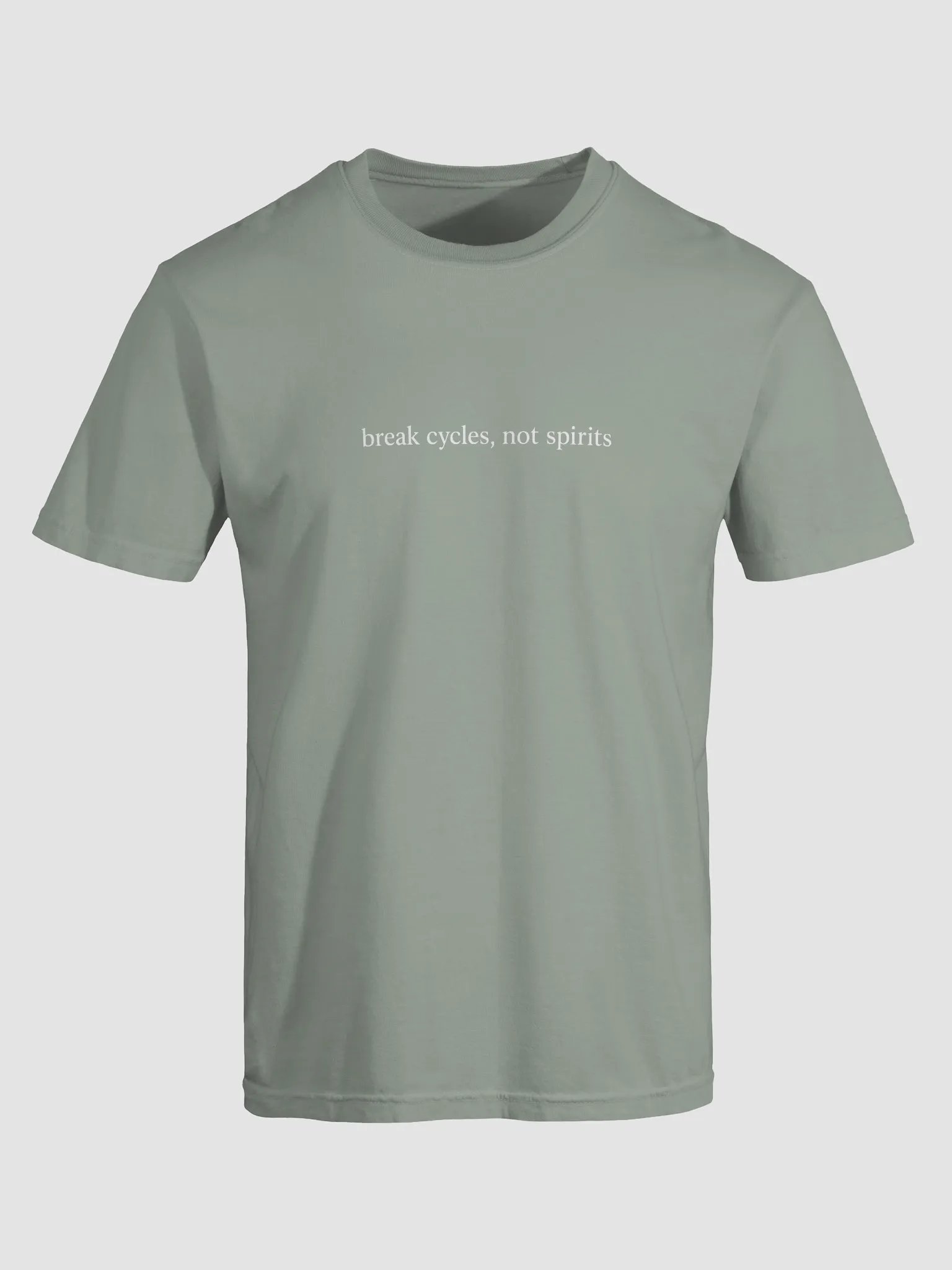Break Cycles Not Spirits Tee product image (2)