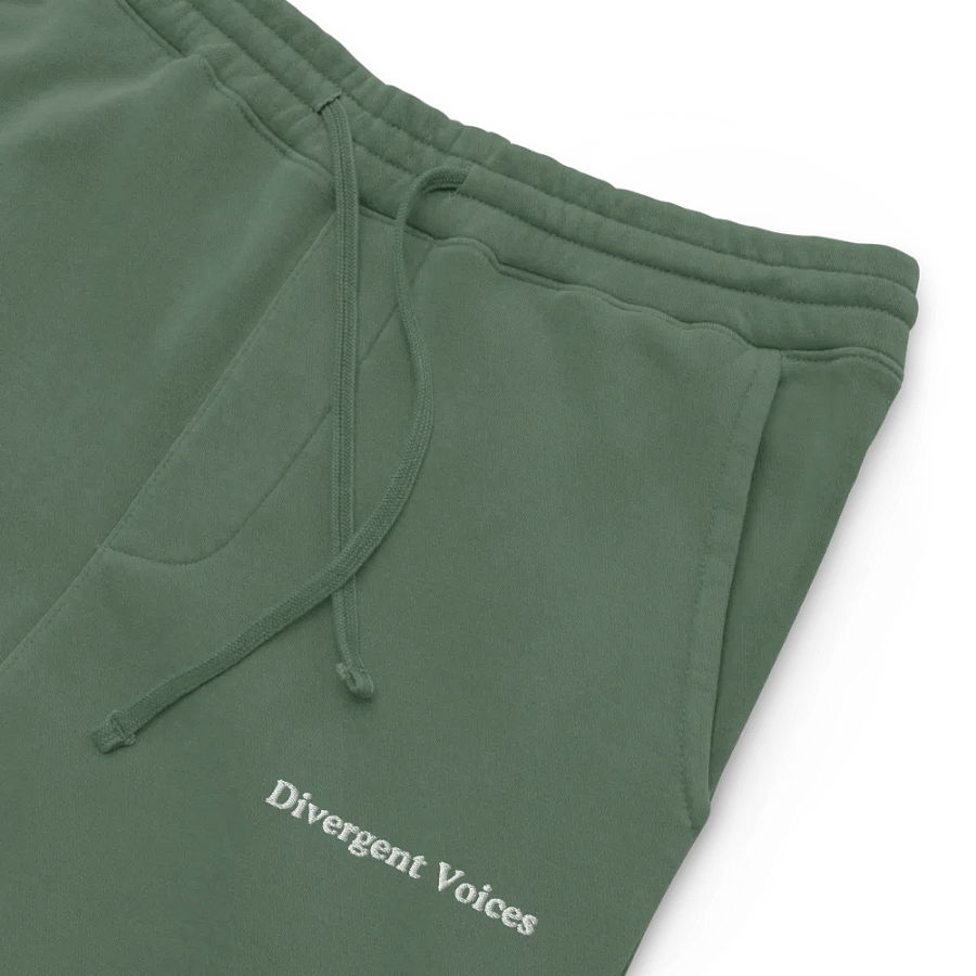 Divergent Voices Basic Embroidered Unisex Sweatpants product image (4)