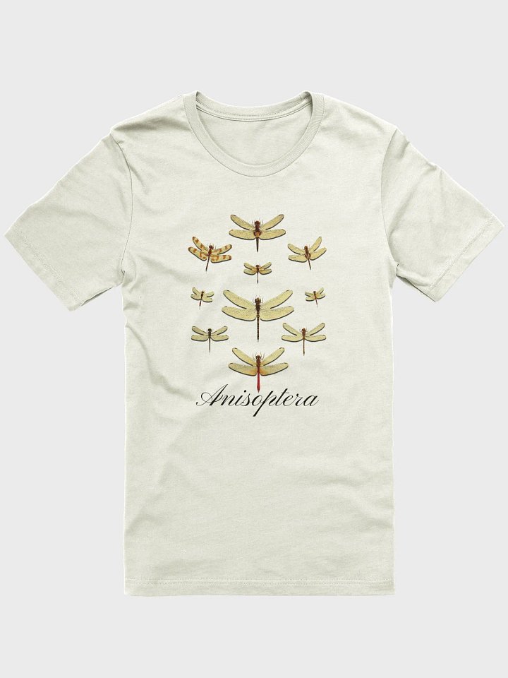 Whispering Wings: Vintage Dragonfly product image (1)