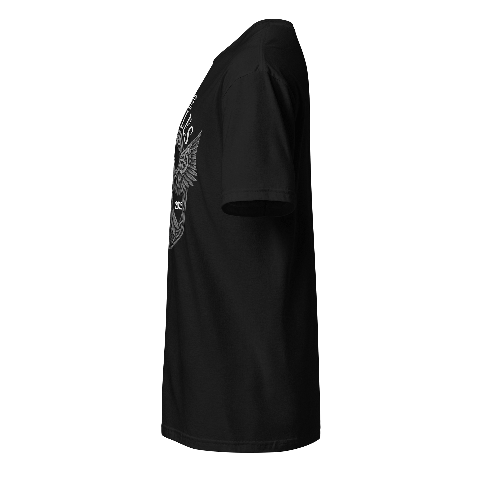 The Eagles Collection 2025🇺🇲 product image (3)