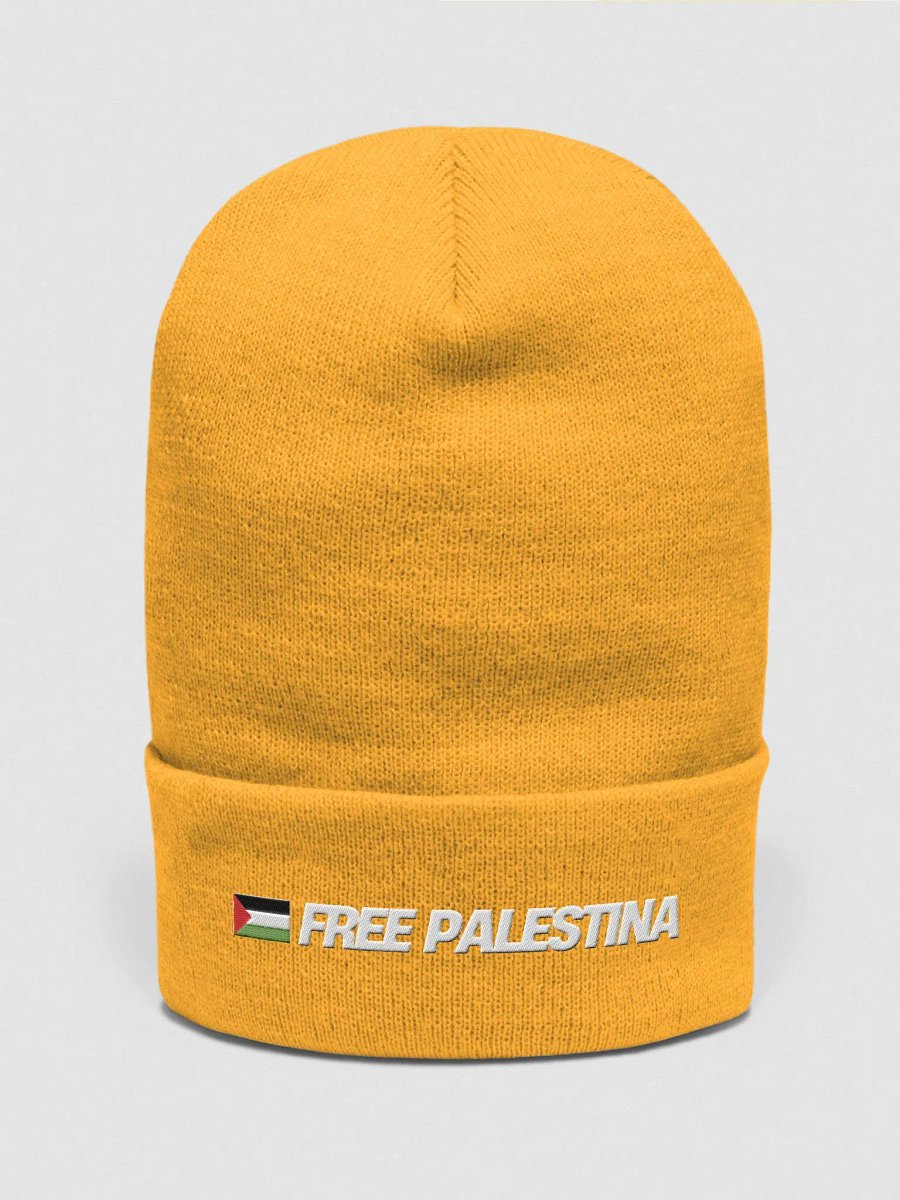Yupoong Cuffed Beanie | FREE PALESTINA product image (2)