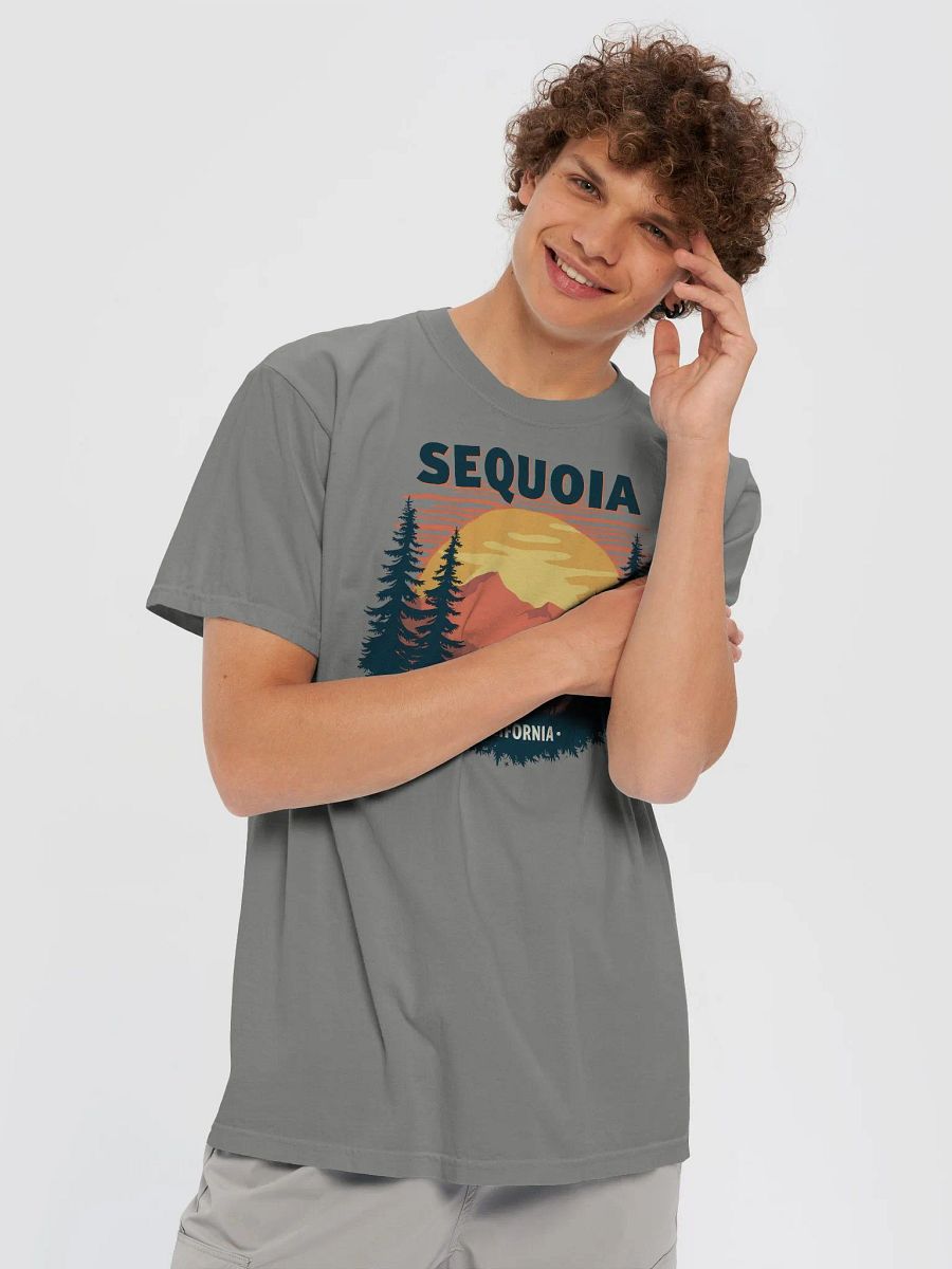 Sequoia Sunset Heavyweight Tee product image (15)