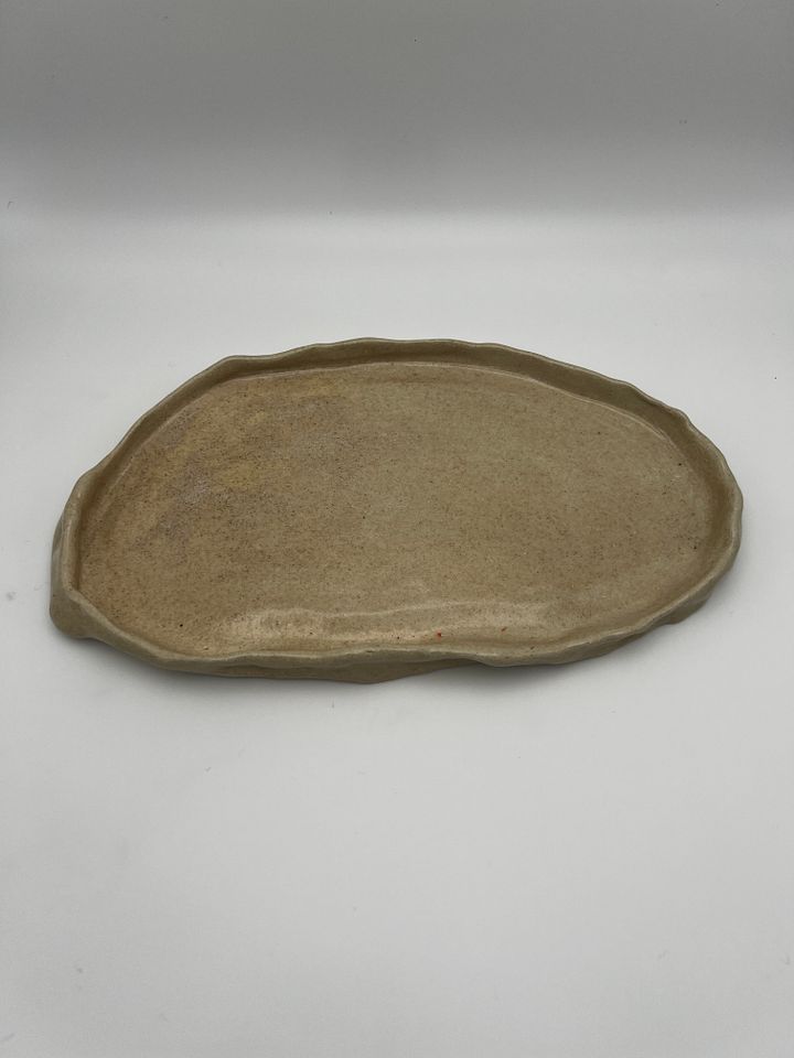 That Dish. product image (2)