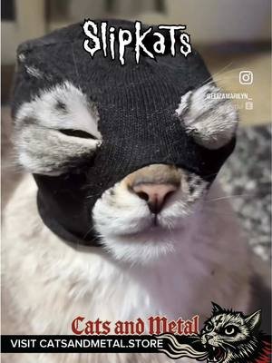Slipkats are back at it...  A part of the merch sales profit goes to support local stray cats and underground bands, thank you!  #catsandmetal #slipknot #catmemes #metalmemes #slipkats 