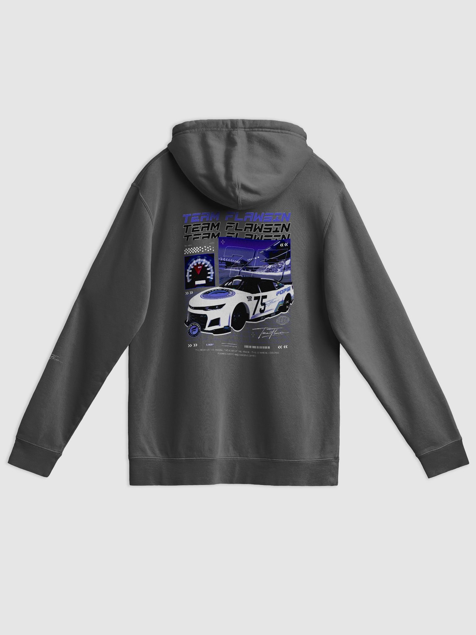 Team Flawsin High Octane Pigment Dyed Hoodie product image (2)