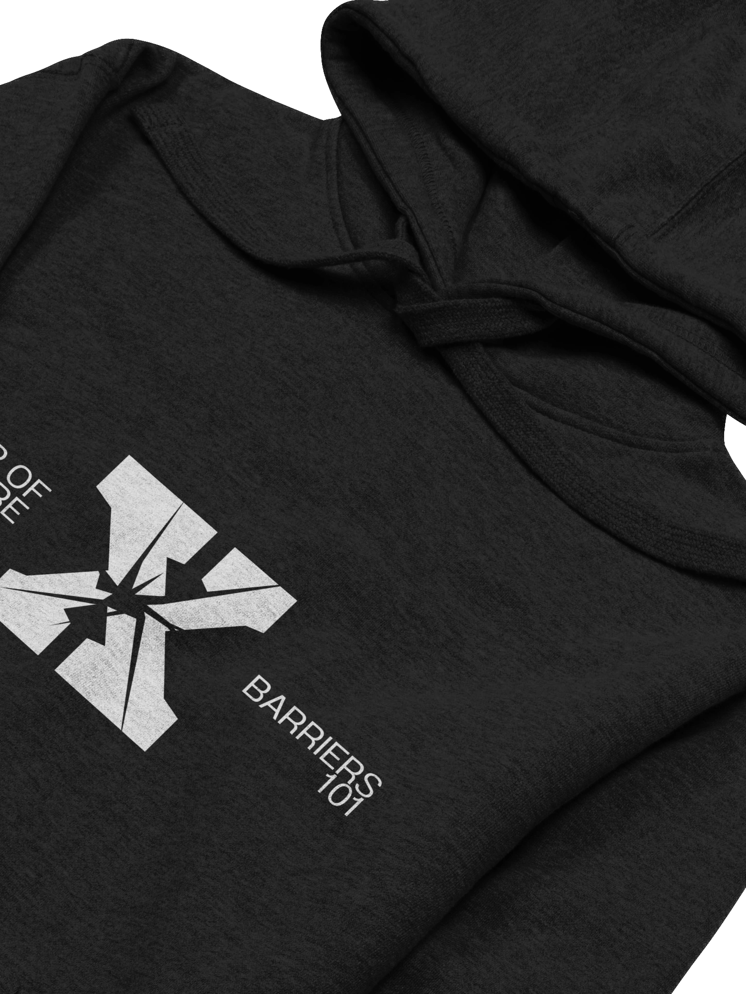 Fear of Failure cancels Barriers 101 Regular Fit Hoodie product image (21)