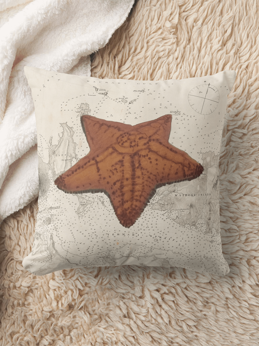 Cushion Sea Star: A Nautical Cushion product image (4)