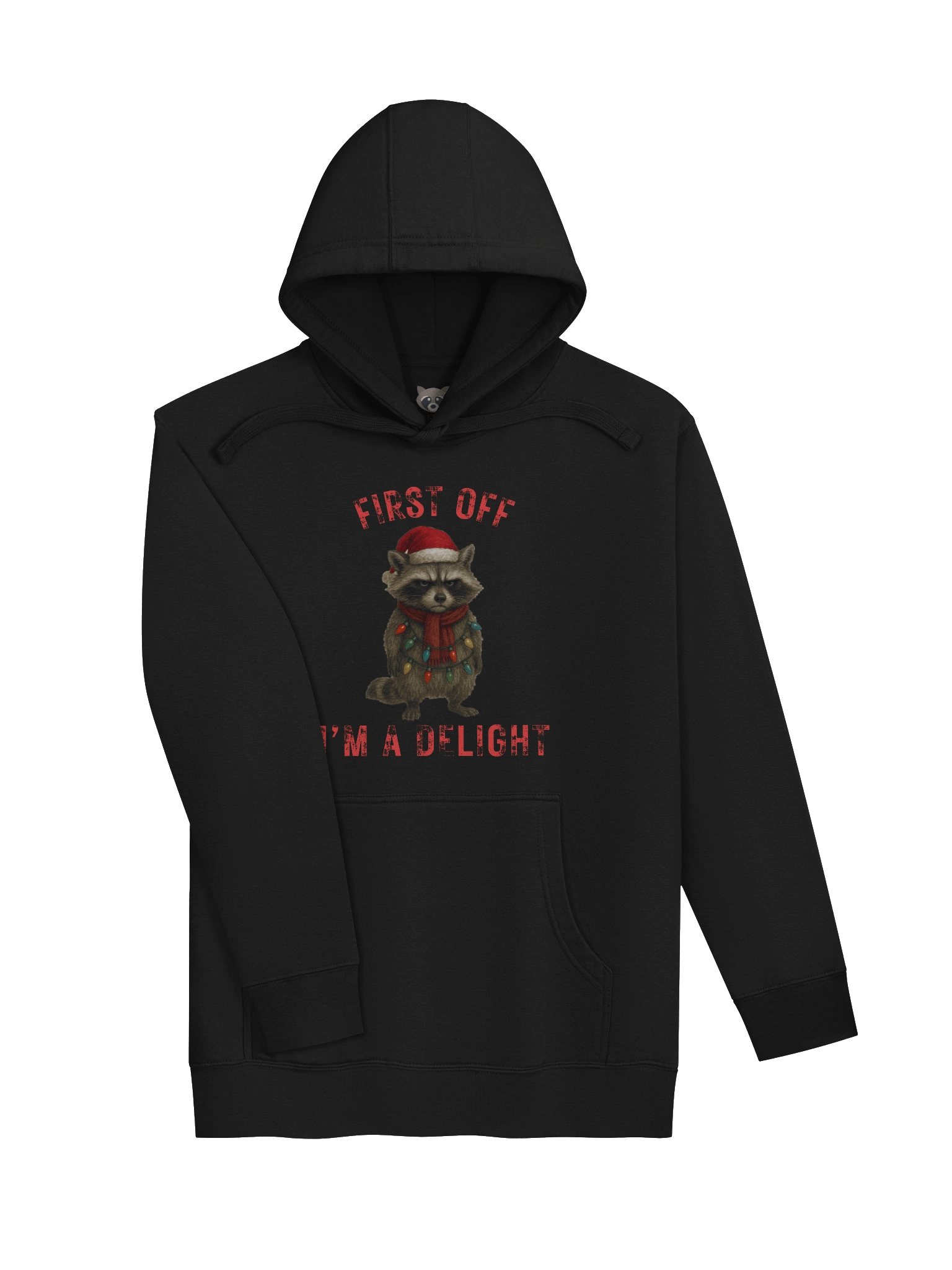 Gabi's I'm a Delight Raccoon Hoodie product image (11)