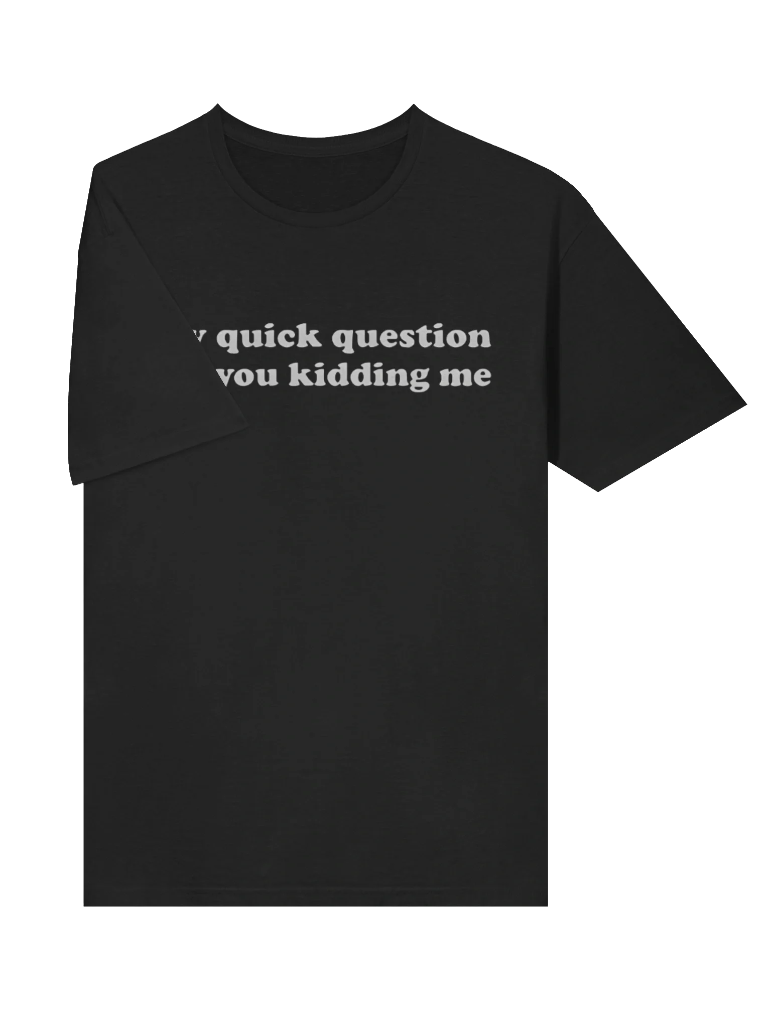 Hey Quick Question Are You Kidding Me T-Shirt product image (3)