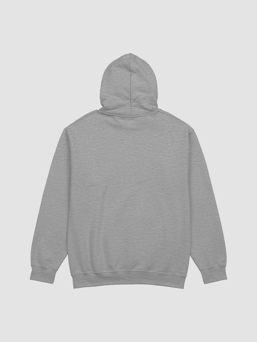 BUIII: Camp More, Worry Less Hoodie product image (9)