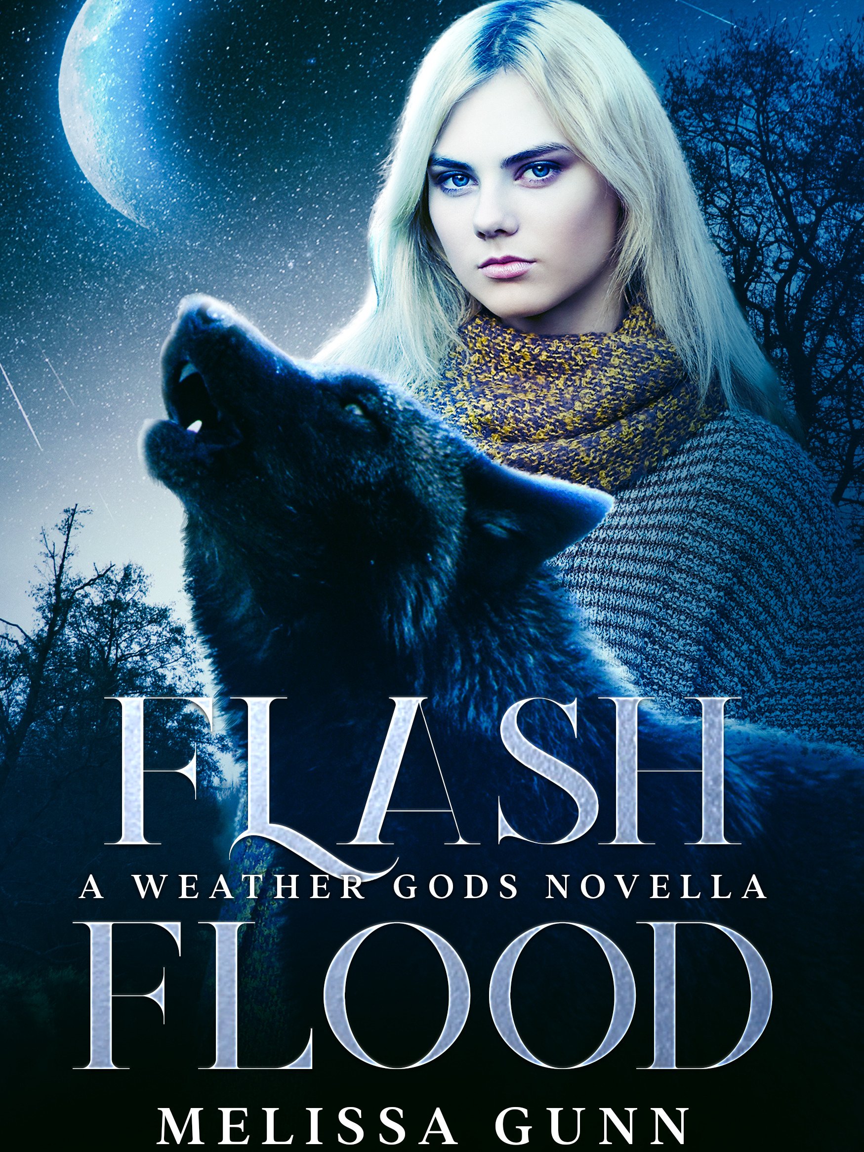 Flash Flood product image (1)