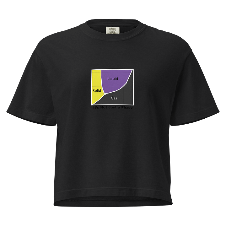 It's Not Just a Phase- Non Binary Shirt product image (1)