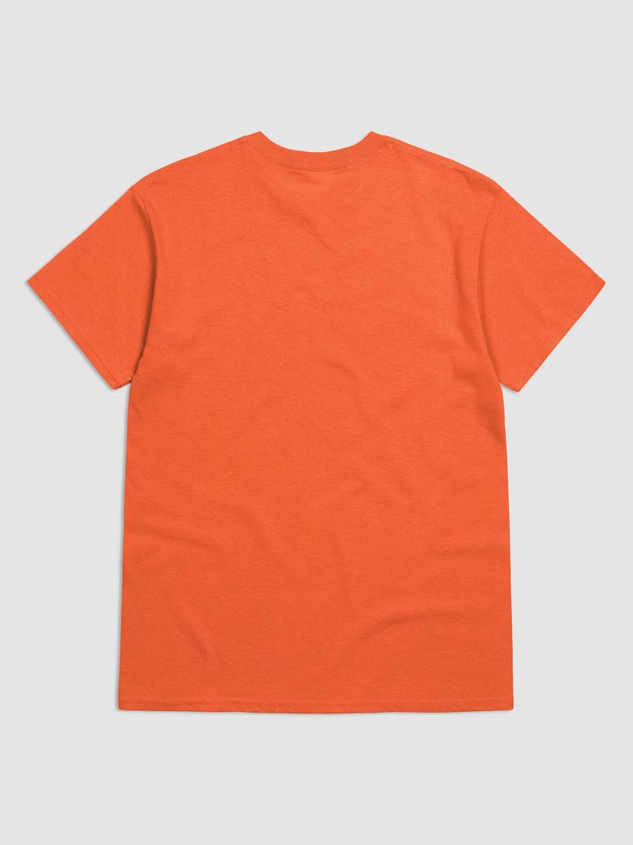 Armagh/Ard Mhacha Scholastic style Ogham Tangerine printed T-shirt product image (2)
