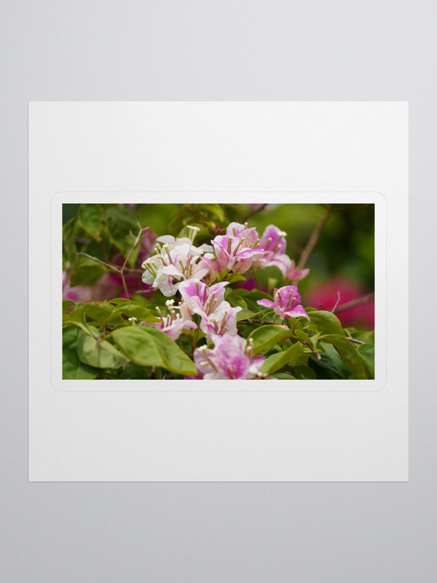 Blossom Borders Kiss Cut Stickers product image (1)