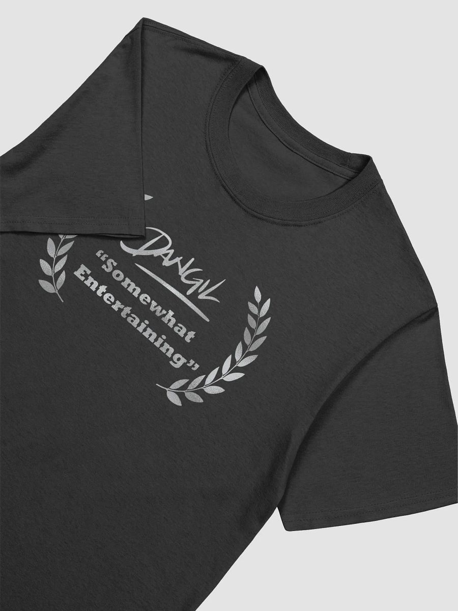 Somewhat Entertaining (T-Shirt - Silver) product image (7)