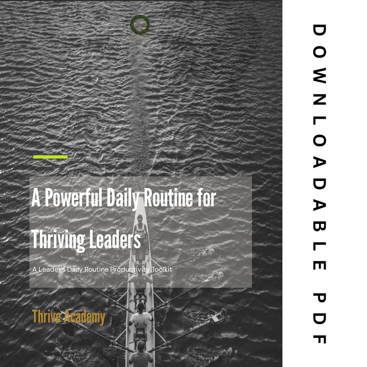 Daily Routine Productivity Toolkit (PDF) product image (1)