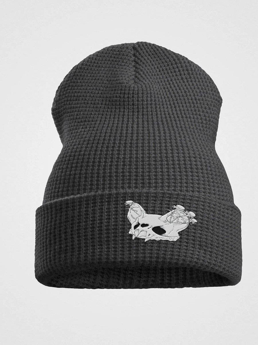 Bat Skull Waffle Beanie product image (1)