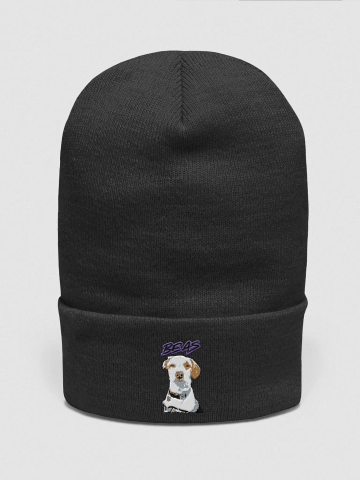 The Beas product image (1)