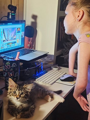 We're hanging out in the basement today. Bánh-bánh is learning Spanish with Ana. 🤣 

It's currently 92° outside with a heat i...