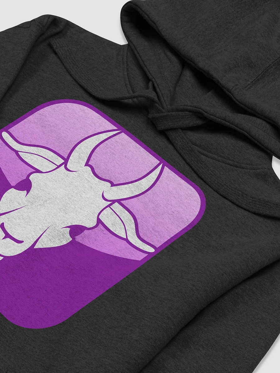 CAPRICORN Hoodie product image (3)