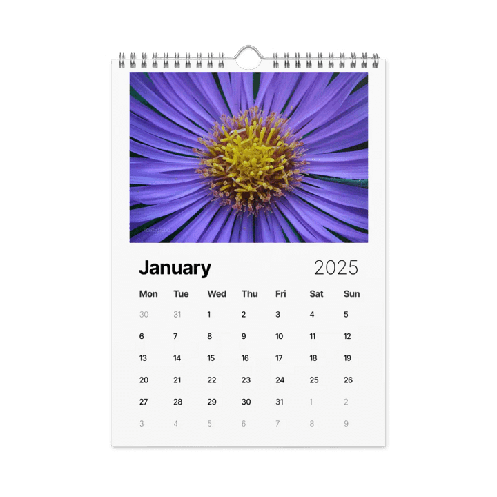Pure Colors 2025 Wall Calendar product image (2)