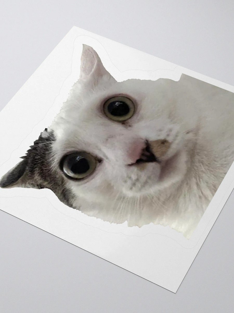Jia Sticker product image (5)