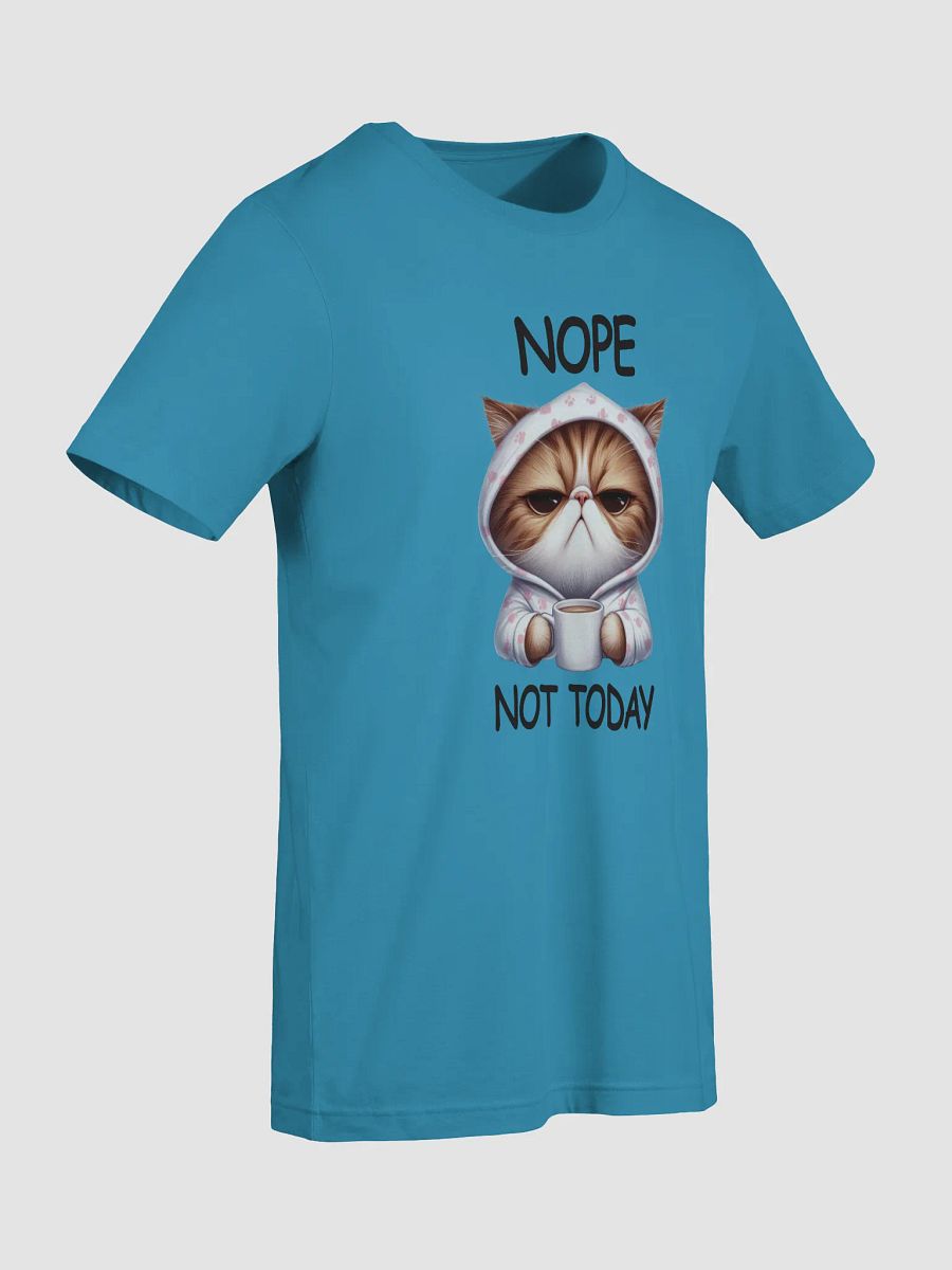 Nope, Not Today - Cozy Grumpy Cat Coffee T-Shirt product image (67)