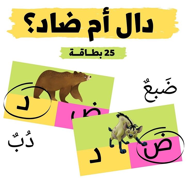 بطاقات دال أم ضاد (25 بطاقة) - pdf product image (2)
